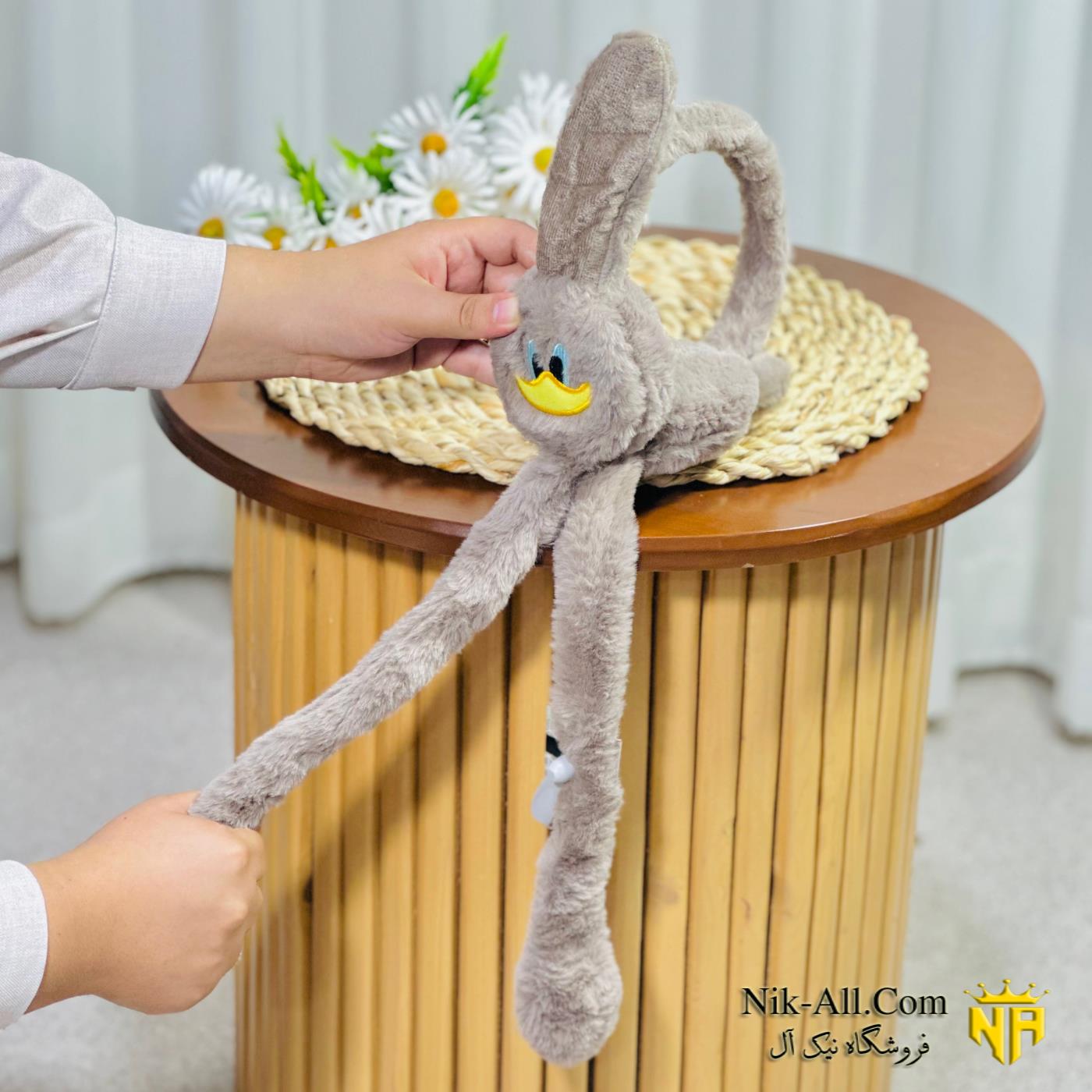 گوش بند اردکی 