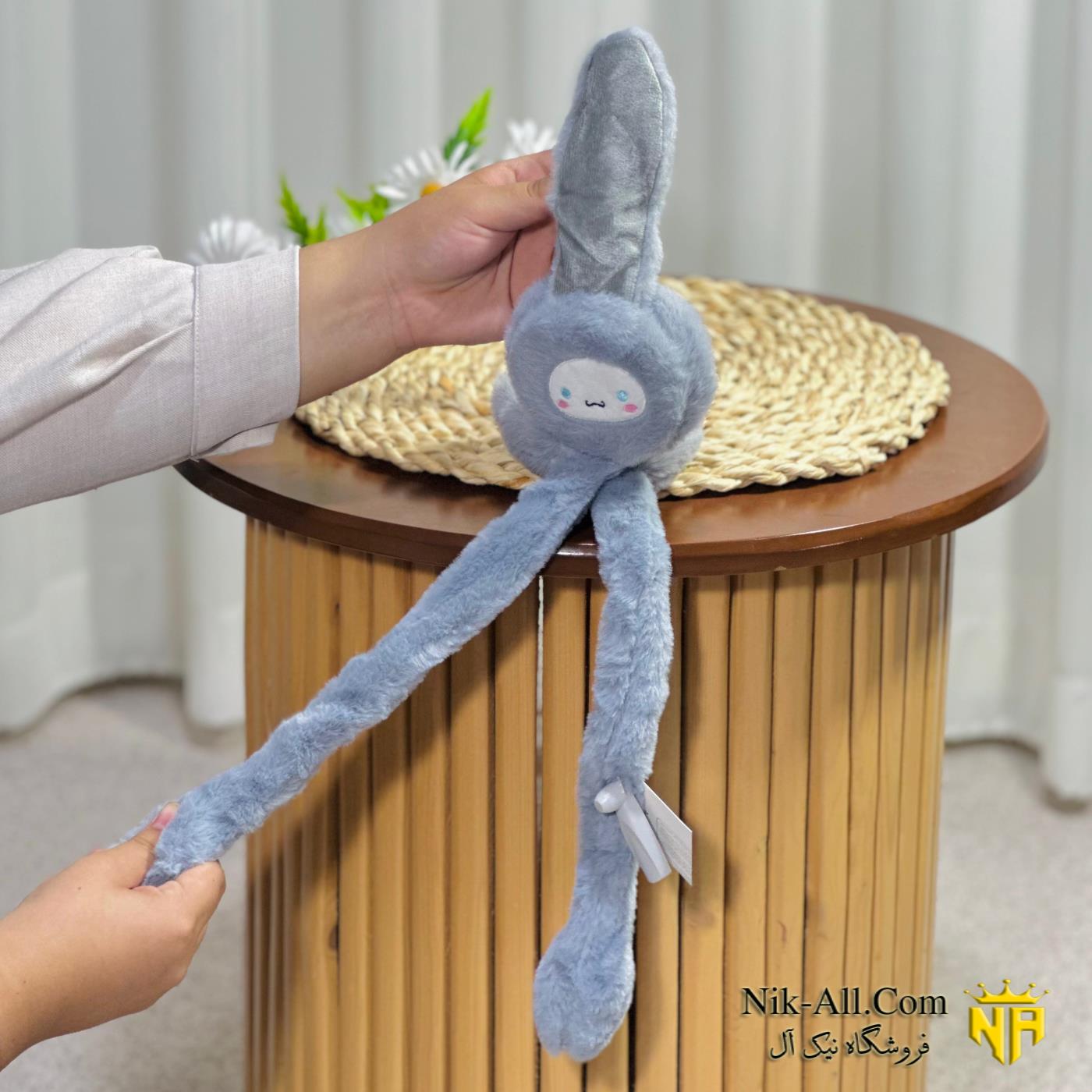 گوش بند فضایی